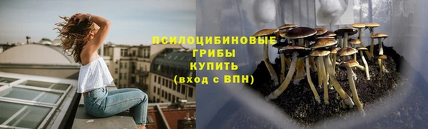 бошки Алексеевка