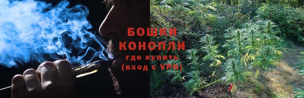бошки Алексеевка