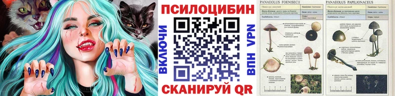 darknet клад  Фролово  Псилоцибиновые грибы GOLDEN TEACHER 